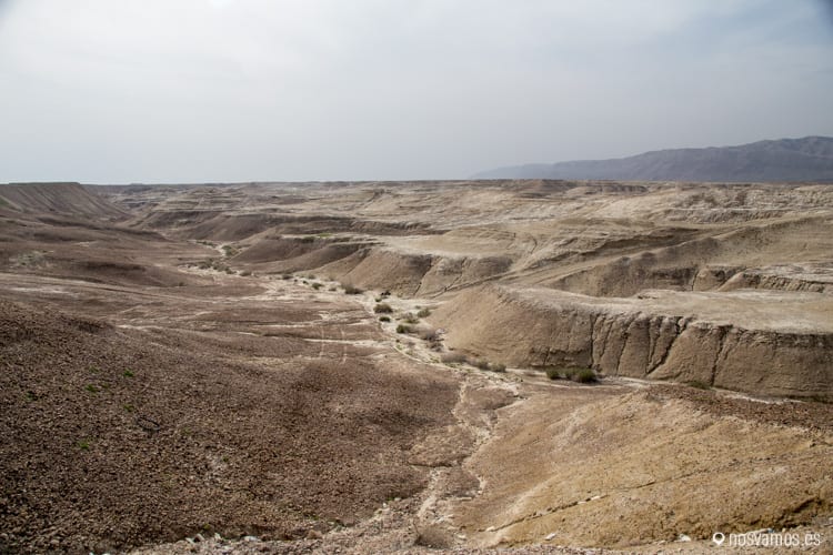 A pocos kilómetros al sur de Ramalah el entorno cambia totalmente — Palestina